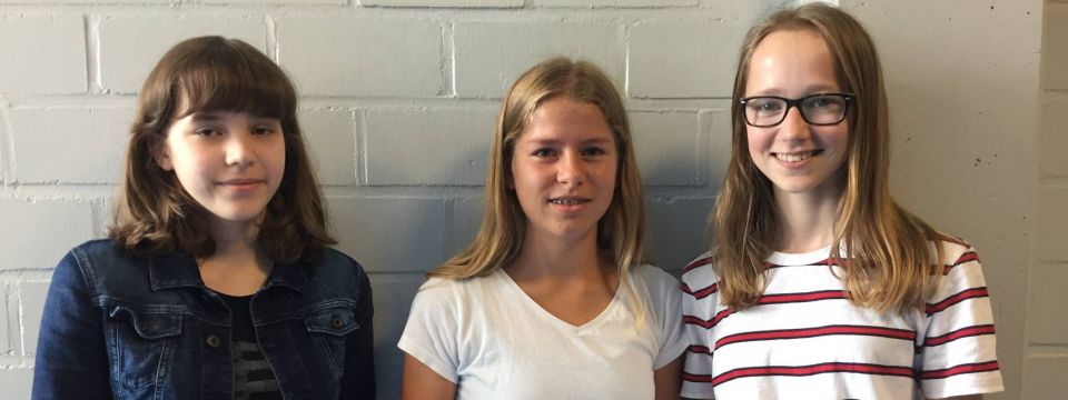 Ein Team der bundesweit elf besten Dechemax-Gruppein Stufe 9: Lara Henschel, Amelie David und Elena Schindelmann.